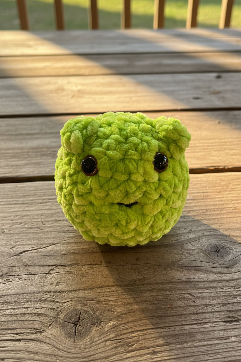 Squishy Fidget Frog